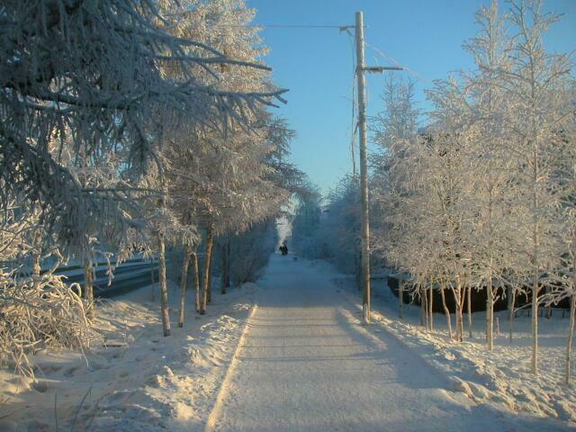 Погода мирном сейчас. Зима парк Мирный Якутия. Мирный (город, Архангельская область).